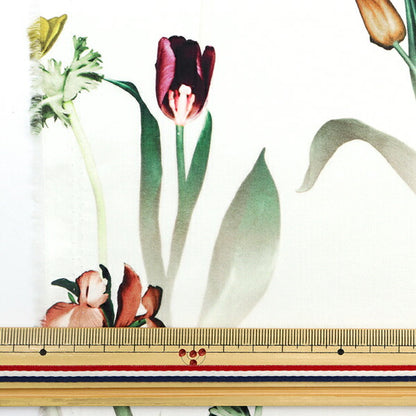 [De la cantidad 5] Tela "Liberty Liberty Print Césped Tana Healing Floral 3633105-23at" Libertad Japón