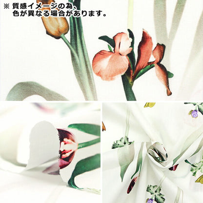 [De la cantidad 5] Tela "Liberty Liberty Print Césped Tana Healing Floral 3633105-23BT" Libertad Japón