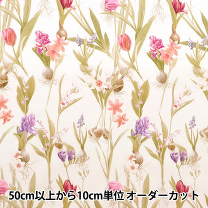 [De la cantidad 5] Tela "Liberty Liberty Print Césped Tana Keiko Spring 3633138-23at" Liberty Japan