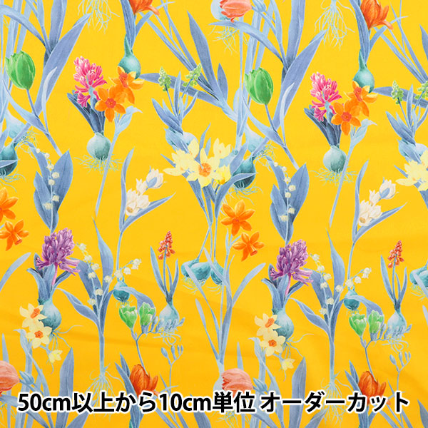 [De la cantidad 5] Tela "Liberty Liberty Print Césped Tana Keiko Spring 3633138-23BT" Liberty Japan
