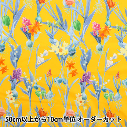 [De la cantidad 5] Tela "Liberty Liberty Print Césped Tana Keiko Spring 3633138-23BT" Liberty Japan