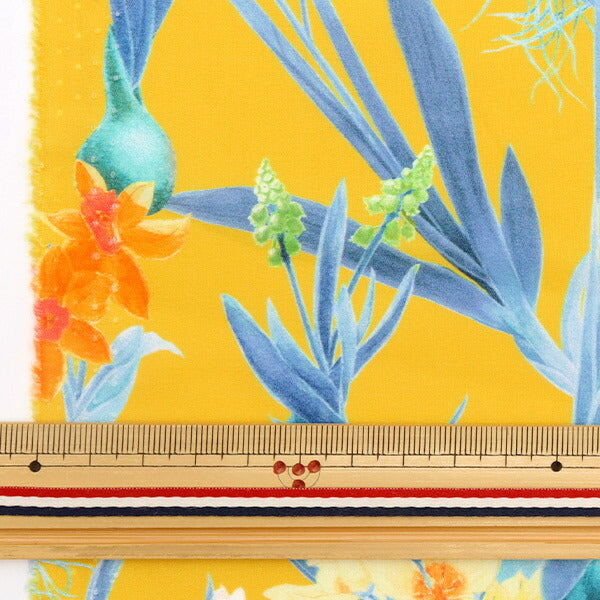 [De la cantidad 5] Tela "Liberty Liberty Print Césped Tana Keiko Spring 3633138-23BT" Liberty Japan