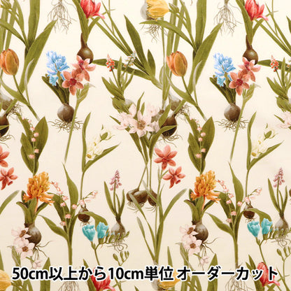 [De la cantidad 5] Tela "Liberty Liberty Print Césped Tana Keiko Spring 3633138-SD23A" Liberty Japan