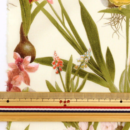 [De la cantidad 5] Tela "Liberty Liberty Print Césped Tana Keiko Spring 3633138-SD23A" Liberty Japan