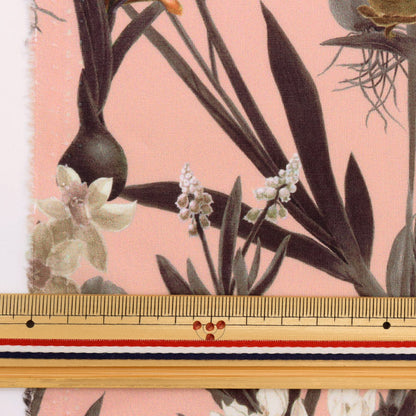 [De la quantité 5] Tissu "Liberty Liberty Print Pelouse Tana Keiko Spring 3633138-SD23B" Liberty Japan