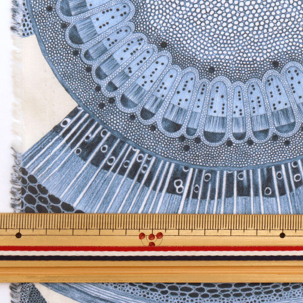 [De la cantidad 5] Tela "Liberty Liberty Print Césped Tana Floral Microscópico 3633141-23at" Liberty Japan