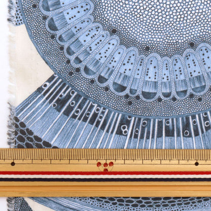 [De la cantidad 5] Tela "Liberty Liberty Print Césped Tana Floral Microscópico 3633141-23at" Liberty Japan