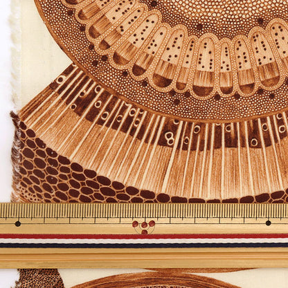 [De la cantidad 5] Tela "Liberty Liberty Print Césped Tana Floral Microscópico 3633141-23CT" Liberty Japan