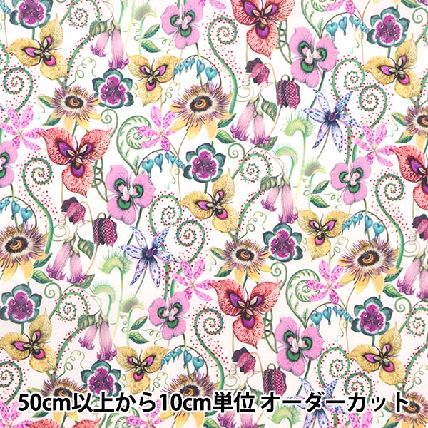 [De la quantité 5] Tissu "Liberty Liberty Print Pelouse Tana Meleanza 3633117-23BT" Liberty Japan