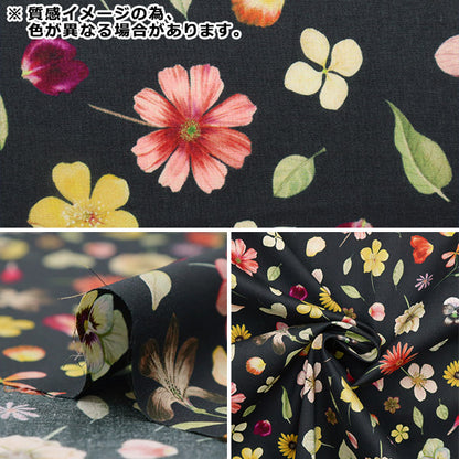 [De la quantité 5] Tissu "Liberty Liberty Print Pelouse Tana Fields fleur 3633139-23bt" Liberty Japan