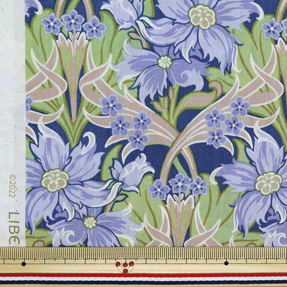 [De la cantidad 5] Tela "Liberty Fabric Césped Tana Web Mius DC32587-C" Liberty Japan