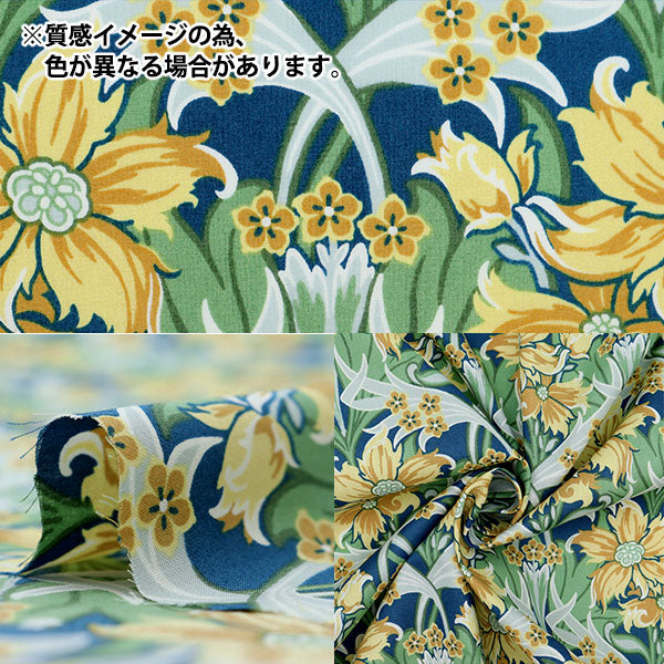 [De la cantidad 5] Tela "Liberty Fabric Césped Tana Web Mius DC32587-C" Liberty Japan