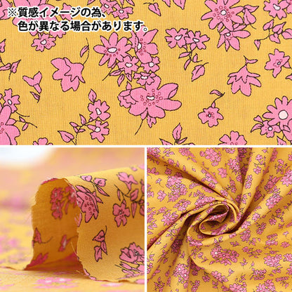 [From quantity 5] Fabric "Liberty Fabric Tana lawn Alnem DC32596-B" Liberty Japan
