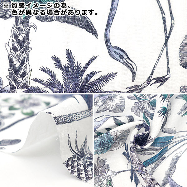 [Aus Menge 5] Stoff "Liberty Stoff Flandern Linder Winds Journey 3634108-24b" Liberty Japan