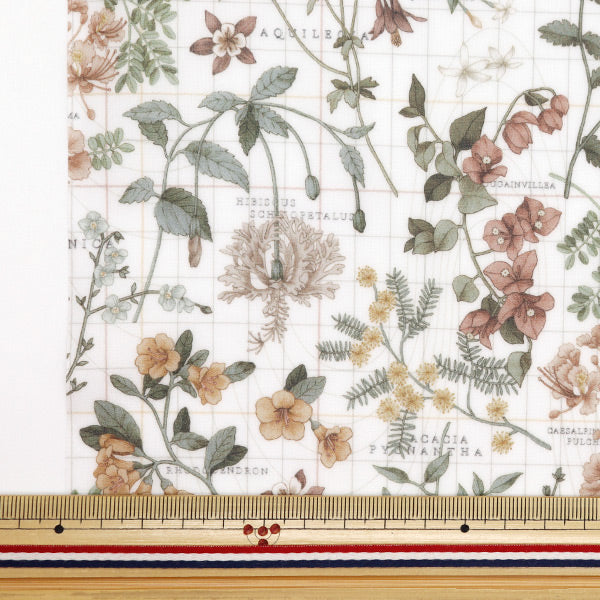 Tela "Liberty Fabric Laminedcortada Tela Aproximadamente 33 × 50 cm Botanista Zjanie CR363423424BU" Libertad Japón