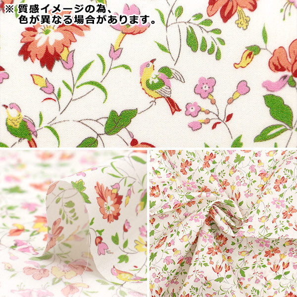 [De la quantité 5] Tissu "Liberty tissu bioPelouse Tana IVetaz Garden 157J913-24cu" Liberty Japan