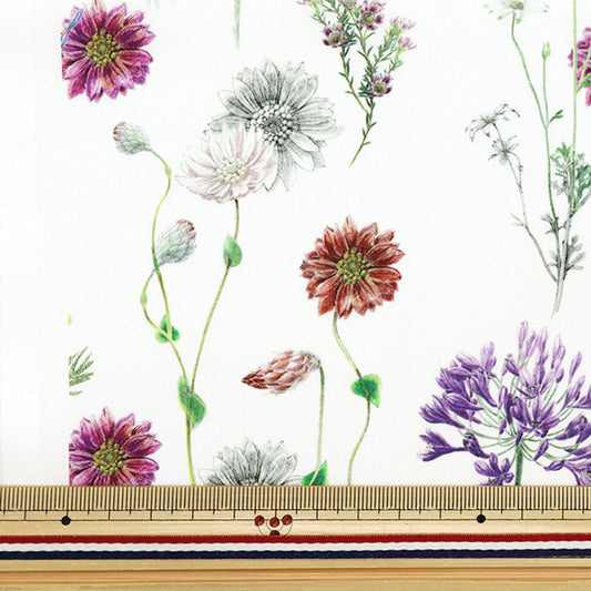 [الكمية من 5] الأقمشة `` أقمشة الحرية عشب التانا بولكا فلورال 363J4216-24AU" Liberty Japan