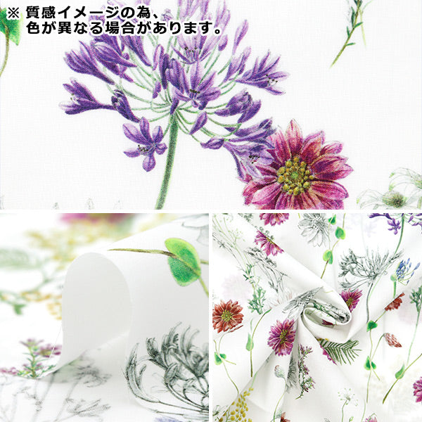 [Dalla quantità 5] Tessuto "Tessuto di libertà tana de pelouse Polka Floral 363J4216-24CU" Liberty Japan