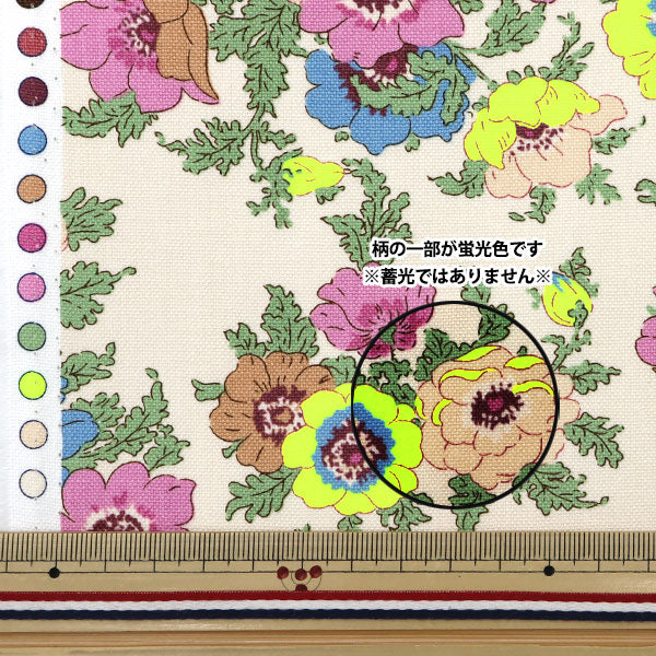 NANCY B ROBERTS　額縁　扉　裏庭 Gerlinde Sixt - by Yvonne Oswald - GAP Interiors