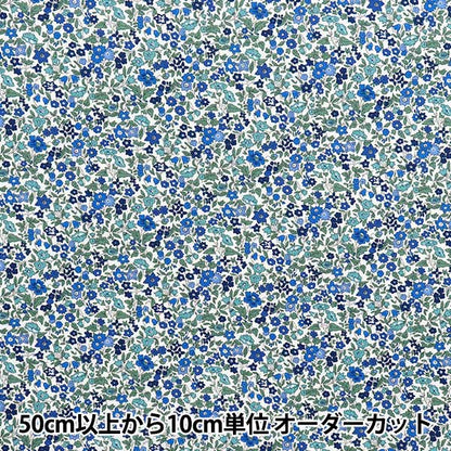 【数量5から】 生地 『リバティ・ファブリックス ピカデリーポプリン アヴァ 3632009-BP』 Liberty Japan リバティジャパン