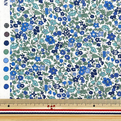 【数量5から】 生地 『リバティ・ファブリックス ピカデリーポプリン アヴァ 3632009-BP』 Liberty Japan リバティジャパン