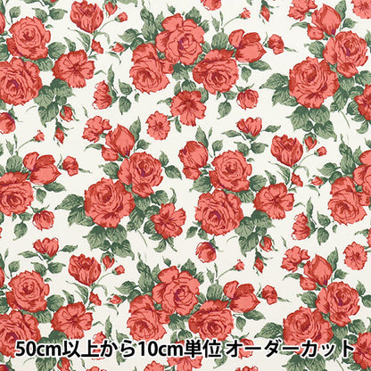 【数量5から】 生地 『リバティ・ファブリックス ピカデリーポプリン カーライン 3637075-XP』 Liberty Japan リバティジャパン