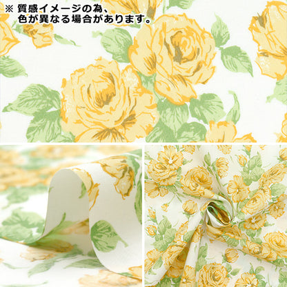 【数量5から】 生地 『リバティ・ファブリックス ピカデリーポプリン カーライン 3637075-ZP』 Liberty Japan リバティジャパン