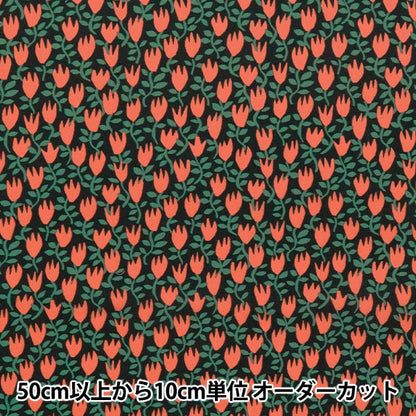 [الكمية تبدأ من 5] الأقمشة "الحرية الأقمشة" عشب التانا زنبق الورق 363J7409-25CU" Liberty Japan