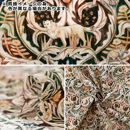 [الكمية تبدأ من 5] الأقمشة "الحرية الأقمشة عشب التانا فاليري 363522325CU" Liberty Japan