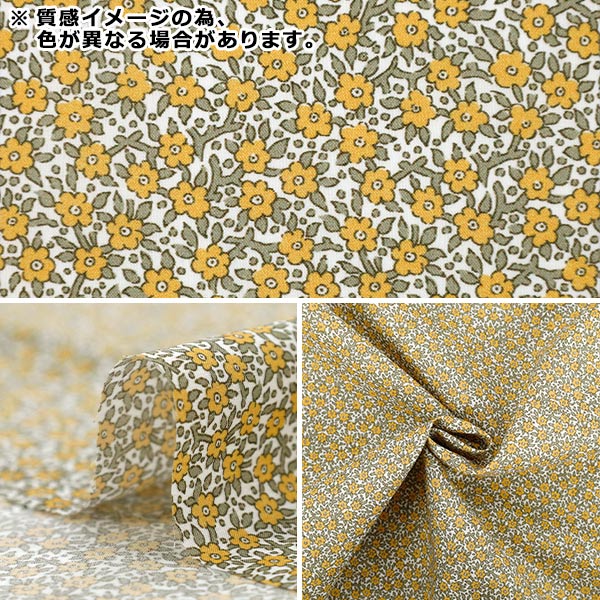 [Quantité à partir de 5] Tissu "Liberty Fabrics Organic"Pelouse Tana Wibrell Posey 157J926-25BU" Liberty Japan