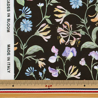 [الكمية تبدأ من 5] الأقمشة "الحرية الأقمشة" عشب التانا Asahi Dream 363J7590525CU" Liberty Japan