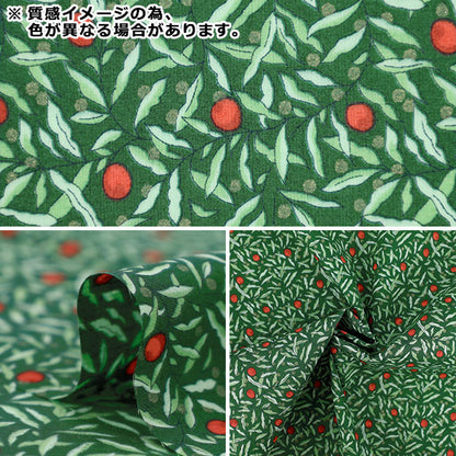 【数量5から】 生地 『リバティ・ファブリックス タナローン ジョイアス・ジュニパー 36374311P-D』 Liberty Japan リバティジャパン