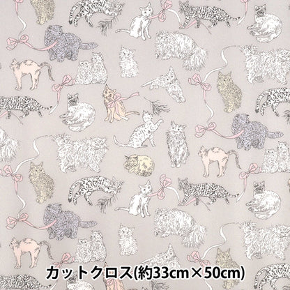 Fabric "Liberty Fabrics Laminate"Cut Cloth Approx. 33 x 50cm Co & Eight CR363J759115C" Liberty Japan