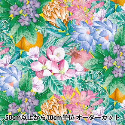 【数量5から】 生地 『リバティ・ファブリックス タナローン ポピー・アンド・フレディ 36361037-26AU』 Liberty Japan リバティジャパン