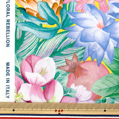 【数量5から】 生地 『リバティ・ファブリックス タナローン ポピー・アンド・フレディ 36361037-26AU』 Liberty Japan リバティジャパン