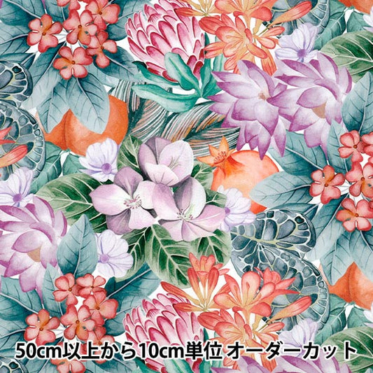 【数量5から】 生地 『リバティ・ファブリックス タナローン ポピー・アンド・フレディ 36361037-26BU』 Liberty Japan リバティジャパン