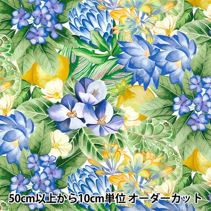 【数量5から】 生地 『リバティ・ファブリックス タナローン ポピー・アンド・フレディ 36361037-26DU』 Liberty Japan リバティジャパン