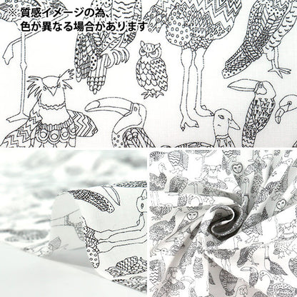 [Quantity from 5] Fabric "Liberty Fabrics True Cotton Beak to Beak LB-6110-7B" Liberty Japan