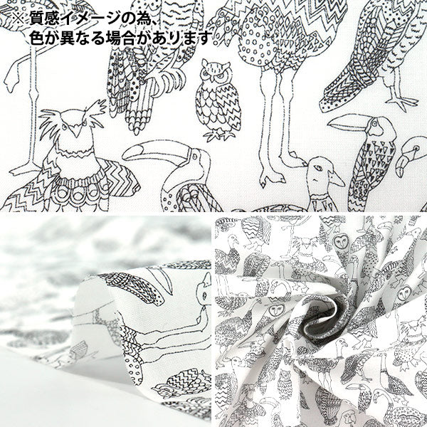 [Quantity from 5] Fabric "Liberty Fabrics True Cotton Beak to Beak LB-6110-7D" Liberty Japan
