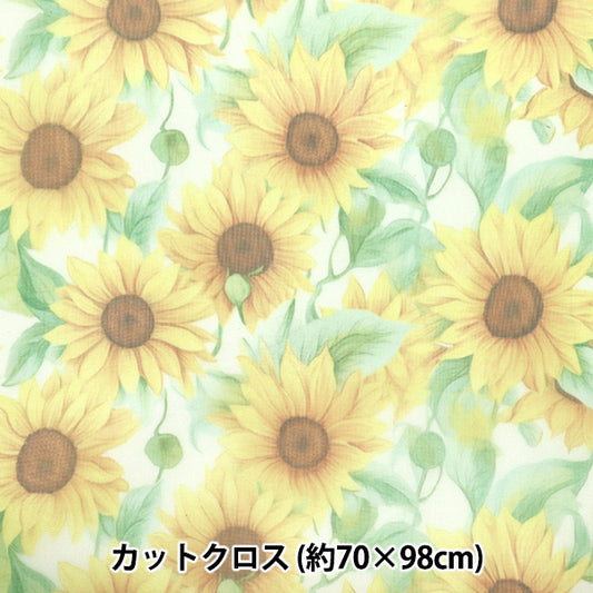 Fabric "Tulle Print"Cut Cloth Sunflower pattern approx. 70cm x 98cm C-TDP6260-03" 【Yuzawayaoriginal】