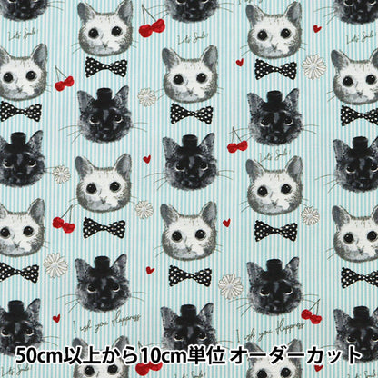 【数量5から】 生地 『オックス patch work animals ネコ&チェリー ブルー LOA-61030-2C』 KOKKA コッカ