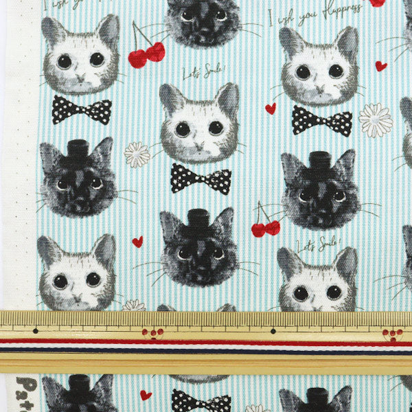 【数量5から】 生地 『オックス patch work animals ネコ&チェリー ブルー LOA-61030-2C』 KOKKA コッカ
