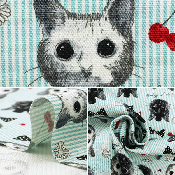 【数量5から】 生地 『オックス patch work animals ネコ&チェリー ブルー LOA-61030-2C』 KOKKA コッカ