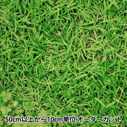 【数量5から】 生地 『10番オックス 芝生柄プリント HA-3037』 KOKKA コッカ