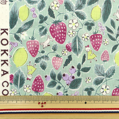 【数量5から】 生地 『シーチング イチゴ 薄緑 YWA-21010-1C』 KOKKA コッカ