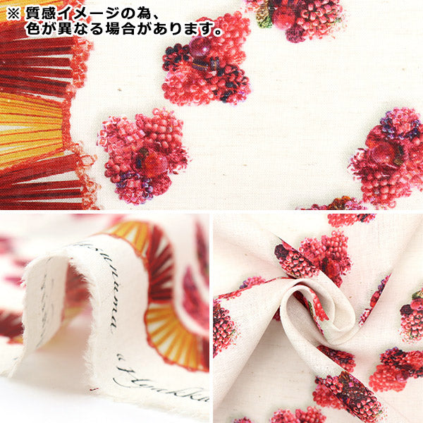 【数量5から】 生地 『Hyakka by Chihiro Hasunuma インクジェット 綿麻コンパス EGXA-9002-1A』 KOKKA コッカ