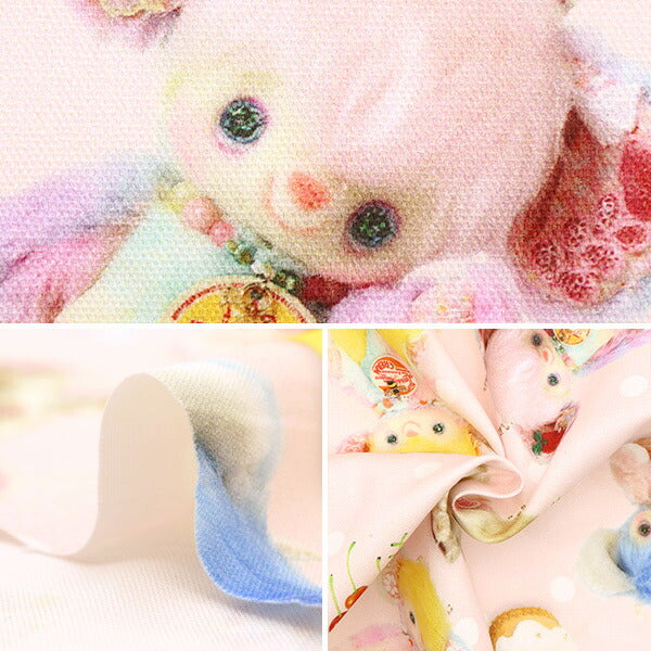 【数量5から】 生地 『オックス モンスタールル Lulu & Polka Dots EGXA-9100-2A』 KOKKA コッカ