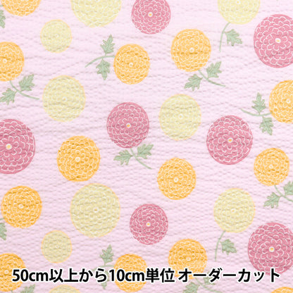[Cantidad a partir de 5] Tela "Serie de hoyuelos para niños Ripple Ponpon Chrysanthemum Pink ECB-54-P" KIYOHARA
