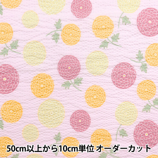 [Quantity starting from 5] Fabric "Ripple Children's Dimples Series Ponpon Chrysanthemum Pink ECB-54-P" KIYOHARA