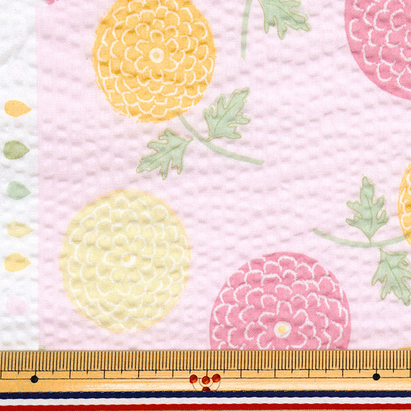 [Cantidad a partir de 5] Tela "Serie de hoyuelos para niños Ripple Ponpon Chrysanthemum Pink ECB-54-P" KIYOHARA